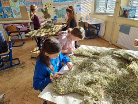 ustvarjanje za tržnico1